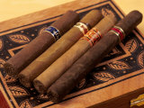 Premium Hand Rolled Cigars on Box Photographie par Gary Conner