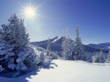 Sunlight on Fresh Snow, Wasatch Mt Range, UT Stampa fotografica di Kyle Krause Sunlight on Fresh Snow, Wasatch Mt Range, UT Stampa fotografica di Kyle Krause