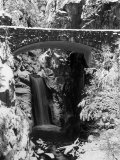 Christine Falls During Winter, Mt. Rainier National Park, WA Photographic Print by Mark Windom