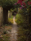 Path to Secluded Beach, Sanibel Island Photographic Print by Frank Simonetti