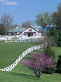 Calumet Horse Farm, Lexington, KY Photographic Print by David Davis