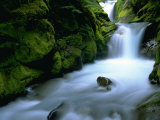 Christine Falls, Mt. Rainier National Park, WA Photographic Print by Brian Maslyar