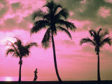Silhouette d'un coureur et de palmiers Photographie par Maria Taglienti