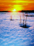 Catskills, Ny, Snow Sunset Fotografie-Druck von Rudi Von Briel
