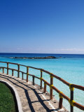 Cancun, Mexico Photographic Print by Angelo Cavalli