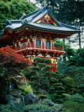 Japanese Tea Garden, San Francisco, CA Photographic Print by Daniel McGarrah