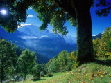 Wengwald, Switzerland Photographic Print by Peter Adams