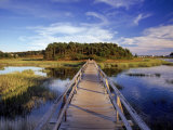 Uncle Tim's Bridge, Wellfleet, Cape Cod, MA Photographie par Jeff Greenberg