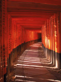 Fushimi-Inari Taisha Shrine, Japan Fotografie-Druck von Gary Conner