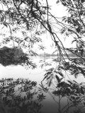 Vue du lac Hoan Kiem, Hanoï, Viêtnam Photographie par Walter Bibikow