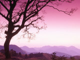 Serra Dos Orgaos National Park, Brazil Photographic Print by Silvestre Machado
