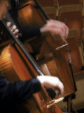Cellists Performing in Orchestra Photographie par William Swartz