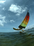 Catamaran Sailing, Biscayne Bay, Miami, FL Photographic Print by Pat Canova