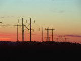 Silhouette of Power Lines, Portland, OR Photographic Print by Donald Higgs