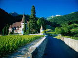 Vineyards and Chateau, Montreux, Switzerland Photographic Print by Peter Adams