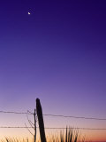 Fence, Sunrise and Moon, Texas Photographic Print by Kevin Leigh