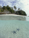 Above and below view of Mangroves Lámina fotográfica por Stuart Westmoreland