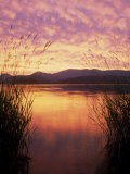 Sandpoint, Id, Sunset on Lake Pond Oreille Photographic Print by Mark Gibson