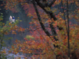 Canoeing on a Lake in Autumn Photographic Print