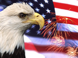 Águila, fuegos artificiales, patriotismo en EE.UU. Pósters por Bill Bachmann Águila, fuegos artificiales, patriotismo en EE.UU. Pósters por Bill Bachmann