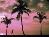Silhouette of Runner on Beach, Ft. Lauderdale, FL Photographic Print by Maria Taglienti