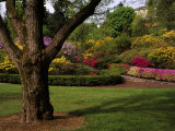 Washington Park in Portland Oregon Photographic Print
