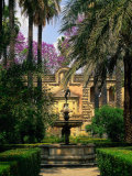 Reales Alcazares, Santa Cruz, Seville, Spain Photographie par Kindra Clineff
