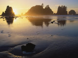 Shi Shi Beach, Point of Arches, WA Photographic Print by Mark Windom