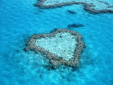 Hardy Reef, Queensland, Australia Photographic Print by David Ball