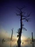 Sunrise at the Alligator Bayou Swamp, Louisiana Photographic Print by Kevin Leigh