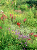 Wild Garden Pond Lámina fotográfica por Mark Bolton