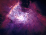 SPAEX 27 nebulosa de Orión Lámina fotográfica por Arnie Rosner