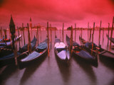 Gondolas, Venice, Italy Photographic Print by Frank Chmura