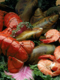 Howard Sokol - Variety of Seafood Fotografická reprodukce Howard Sokol - Variety of Seafood Fotografická reprodukce