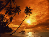 Terry Why - Sunset at Pigeon Point, Tobago, Caribbean - Fotografik Baskı