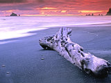 Rialto Beach Sunset with Driftwood Log Fotografisk trykk av Russell Burden Rialto Beach Sunset with Driftwood Log Fotografisk trykk av Russell Burden