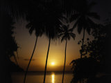 Silhouette of Palm Trees, Caribbean Photographic Print by Mark Dyball