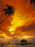 Sunset at Pigeon Point, Tobago, Caribbean Photographic Print by Terry Why
