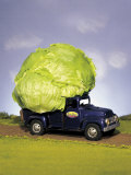 Lettuce in Bed of Miniature Truck Reprodukcja zdjęcia autor Peter Ardito Lettuce in Bed of Miniature Truck Reprodukcja zdjęcia autor Peter Ardito