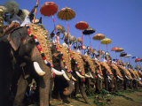 The Great Elephant March, Trissur, Kerala, India Photographie par David Ball