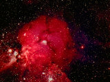 Stars and Nebula Photographic Print by Terry Why