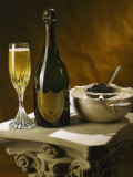 Champagne and Caviar Stampa fotografica di Terri Froelich