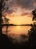 Sunset at Paurotis Pond, Everglades National Park, FL Photographic Print by David Davis