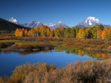Yellowstone National Park Along the Lewis River Photographic Print by Bob Winsett