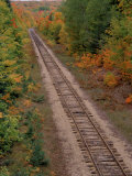 Railroad Tracks Between Autumn Foliage, MI Photographic Print by Don Grall