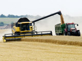 Yellow New Holland Combine Harvester Unloading Grain into Trailer, UK Lámina fotográfica por Martin Page