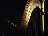 Harp Fotografie-Druck von John T. Wong