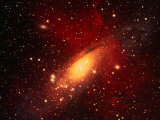 Stars and a Galaxy Photographie par Terry Why