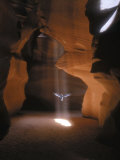 Dove Flying in Cave Photographie par Henryk T. Kaiser
