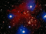 Stars and Nebula Photographic Print by Terry Why